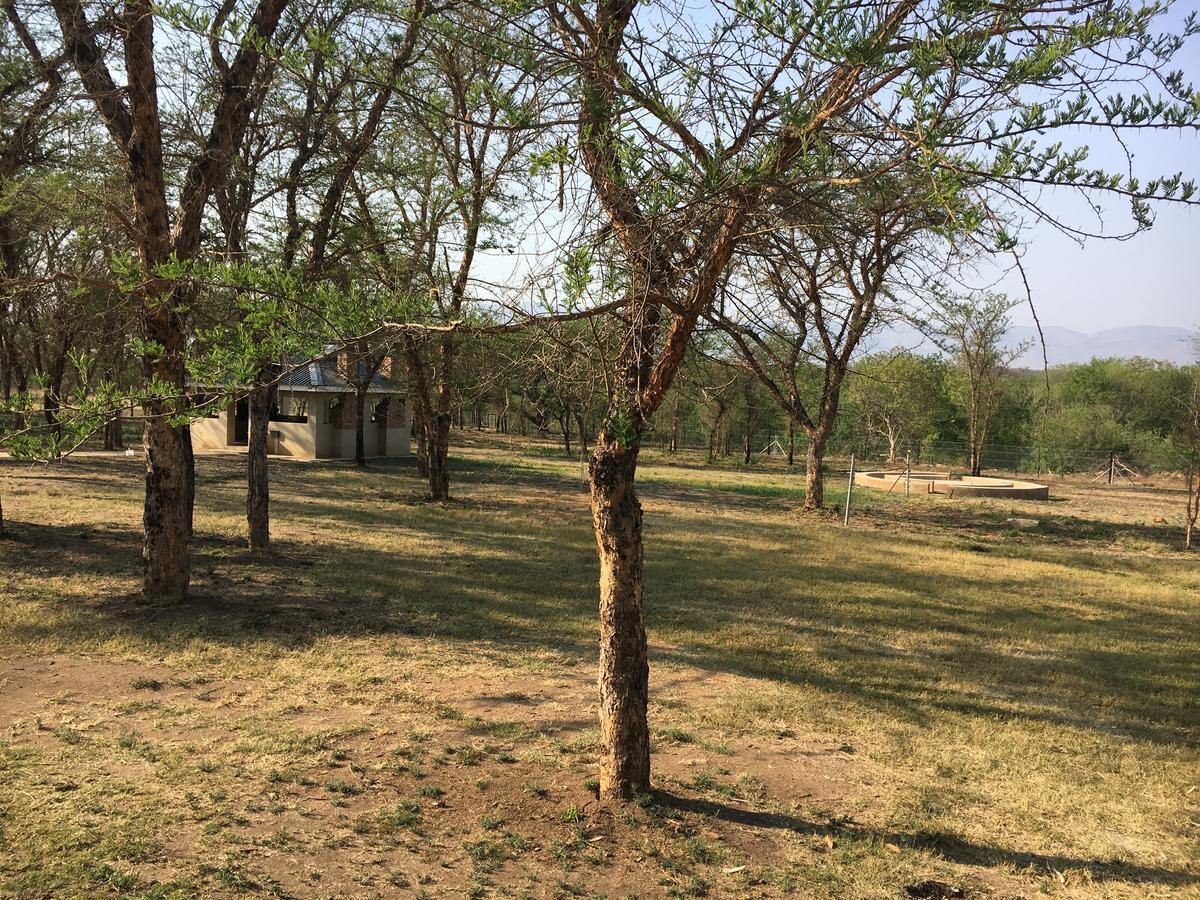 African Rest Lodge Barberton Esterno foto